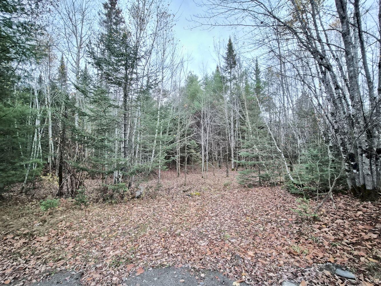 MR17 L7 Holley Road Farmington ME 04938