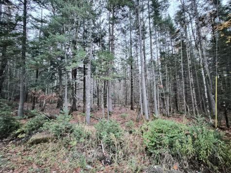 MR17 L7 Holley Road Farmington ME 04938