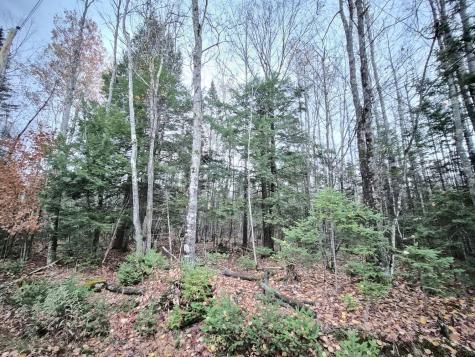 MR17 L7 Holley Road Farmington ME 04938