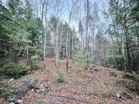 MR17 L7 Holley Road Farmington ME 04938