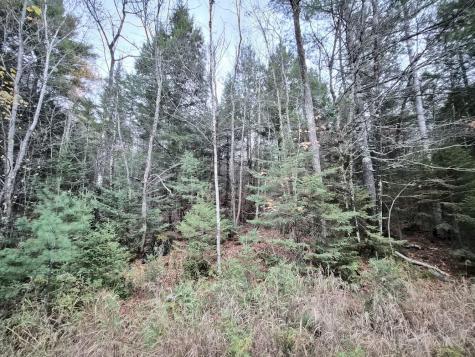 MR17 L7 Holley Road Farmington ME 04938