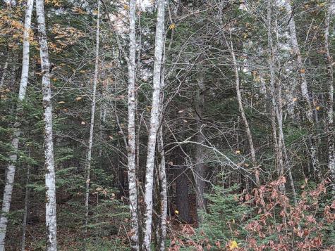 MR17 L7 Holley Road Farmington ME 04938