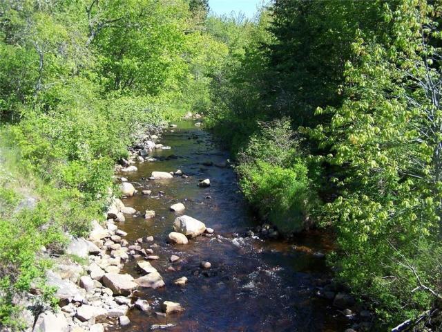 0 Village Road & Route 1 Gouldsboro ME 04607