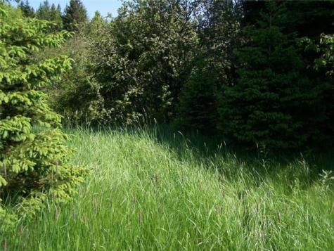 0 Village Road & Route 1 Gouldsboro ME 04607