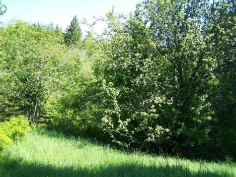 0 Village Road & Route 1 Gouldsboro ME 04607