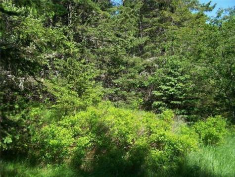 0 Village Road & Route 1 Gouldsboro ME 04607