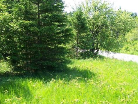 0 Village Road & Route 1 Gouldsboro ME 04607