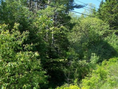 0 Village Road & Route 1 Gouldsboro ME 04607