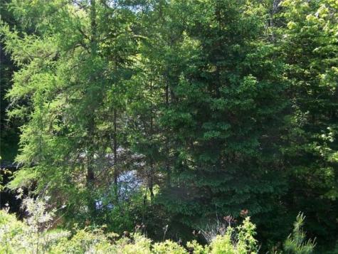 0 Village Road & Route 1 Gouldsboro ME 04607