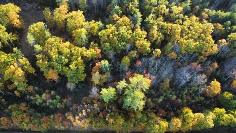 Lot 16 (2) Whittier Road Farmington ME 04938