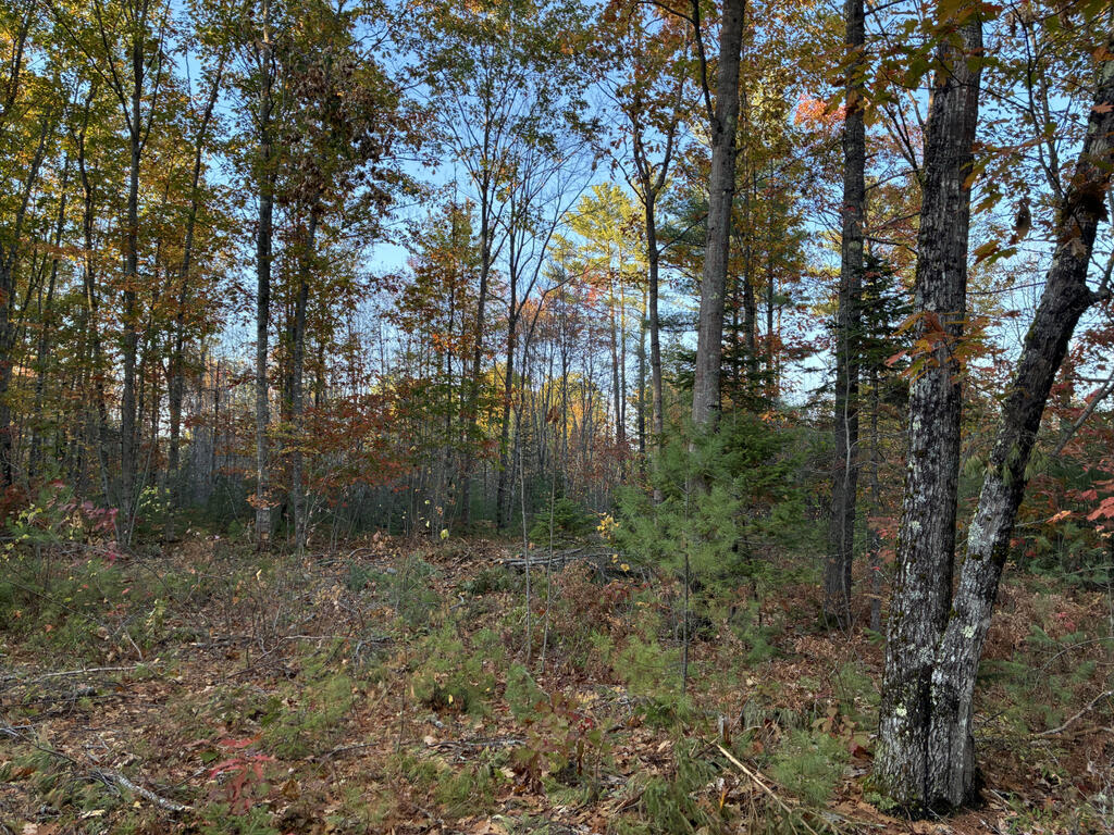 Lot 16 (2) Whittier Road Farmington ME 04938