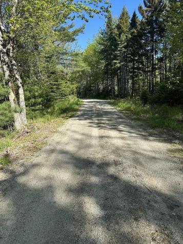 61 Gerards Trail Blue Hill ME 04614