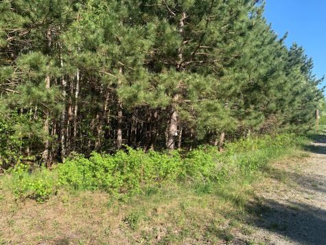 Lot 24 Grand View Drive Dedham ME 04429