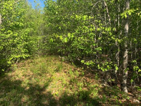 Lot 24 Grand View Drive Dedham ME 04429
