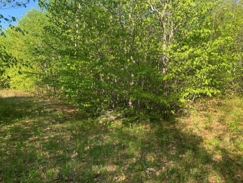 Lot 24 Grand View Drive Dedham ME 04429