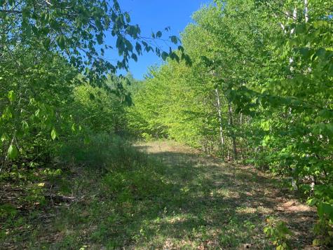 Lot 24 Grand View Drive Dedham ME 04429