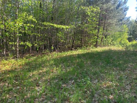 Lot 24 Grand View Drive Dedham ME 04429