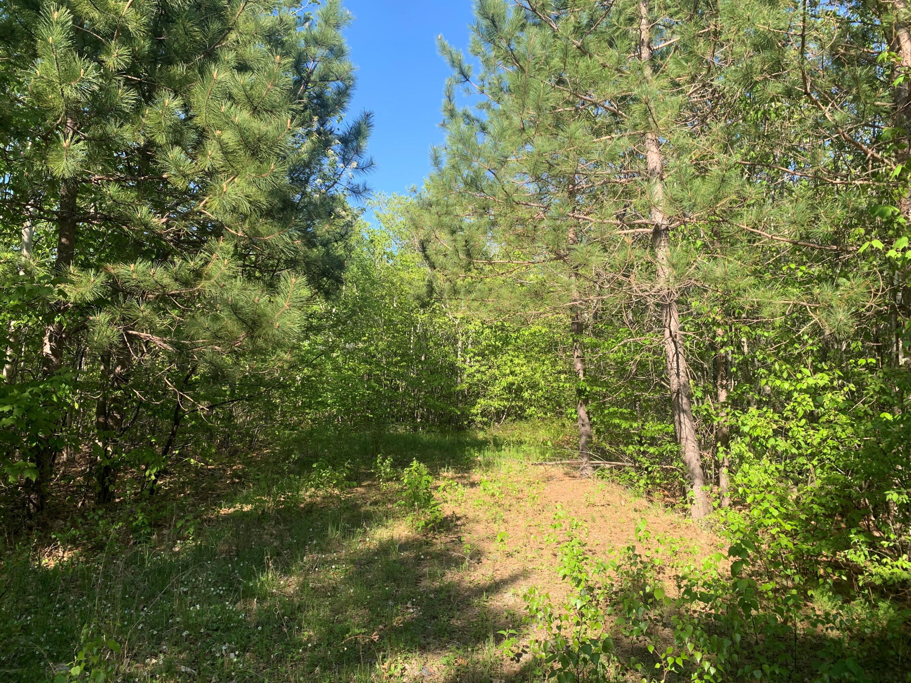Lot 24 Grand View Drive Dedham ME 04429