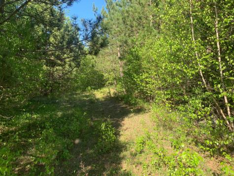 Lot 24 Grand View Drive Dedham ME 04429