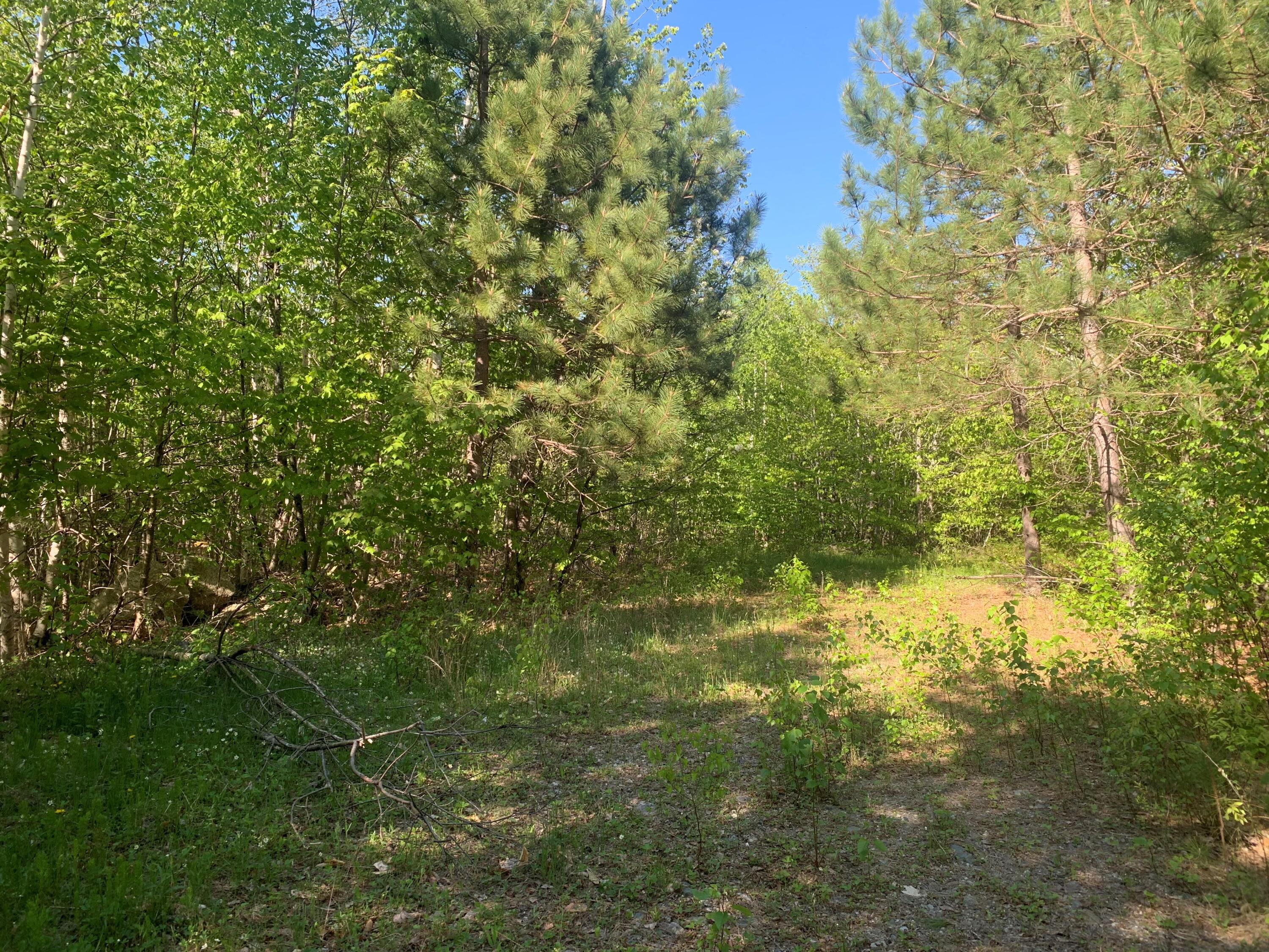 Lot 24 Grand View Drive Dedham ME 04429