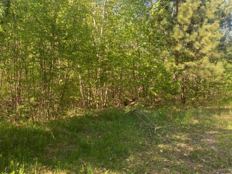 Lot 24 Grand View Drive Dedham ME 04429