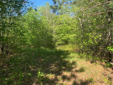 Lot 24 Grand View Drive Dedham ME 04429