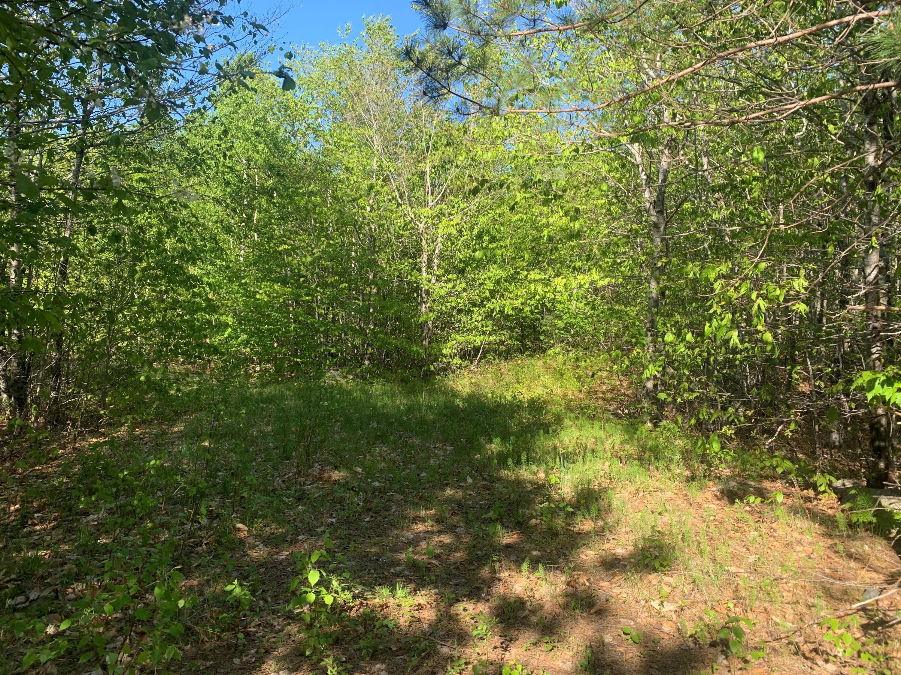 Lot 24 Grand View Drive Dedham ME 04429