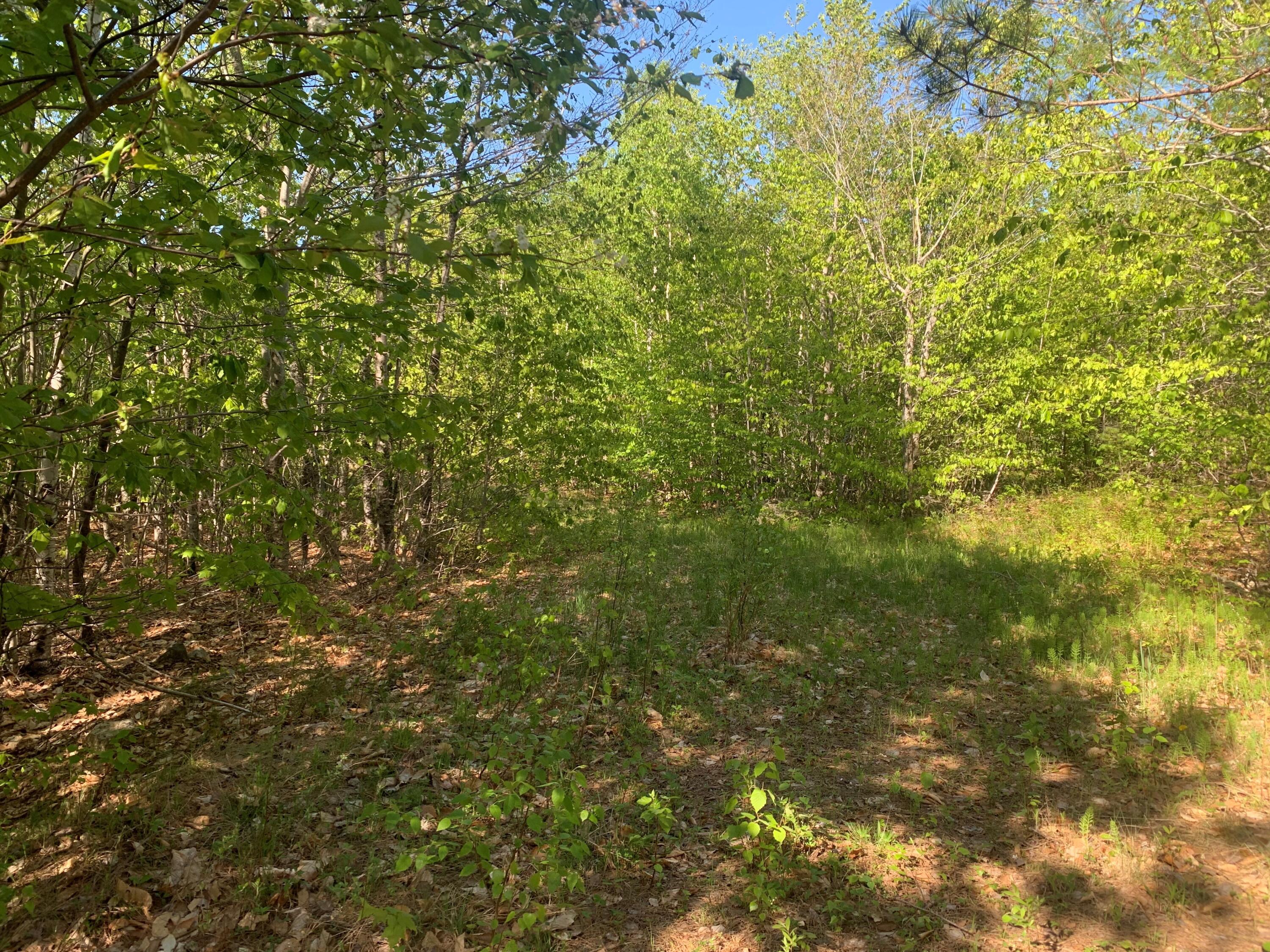 Lot 24 Grand View Drive Dedham ME 04429