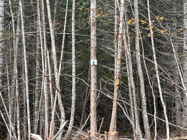 Lot ''G'' S Whitetail Way Greenville ME 04441