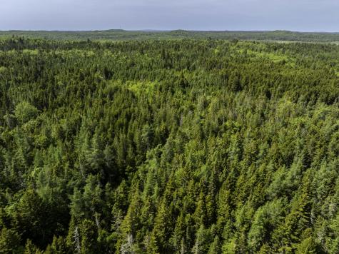 Map 1 Lot 9 Cutler Road Whiting ME 04691