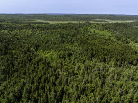 Map 1 Lot 9 Cutler Road Whiting ME 04691