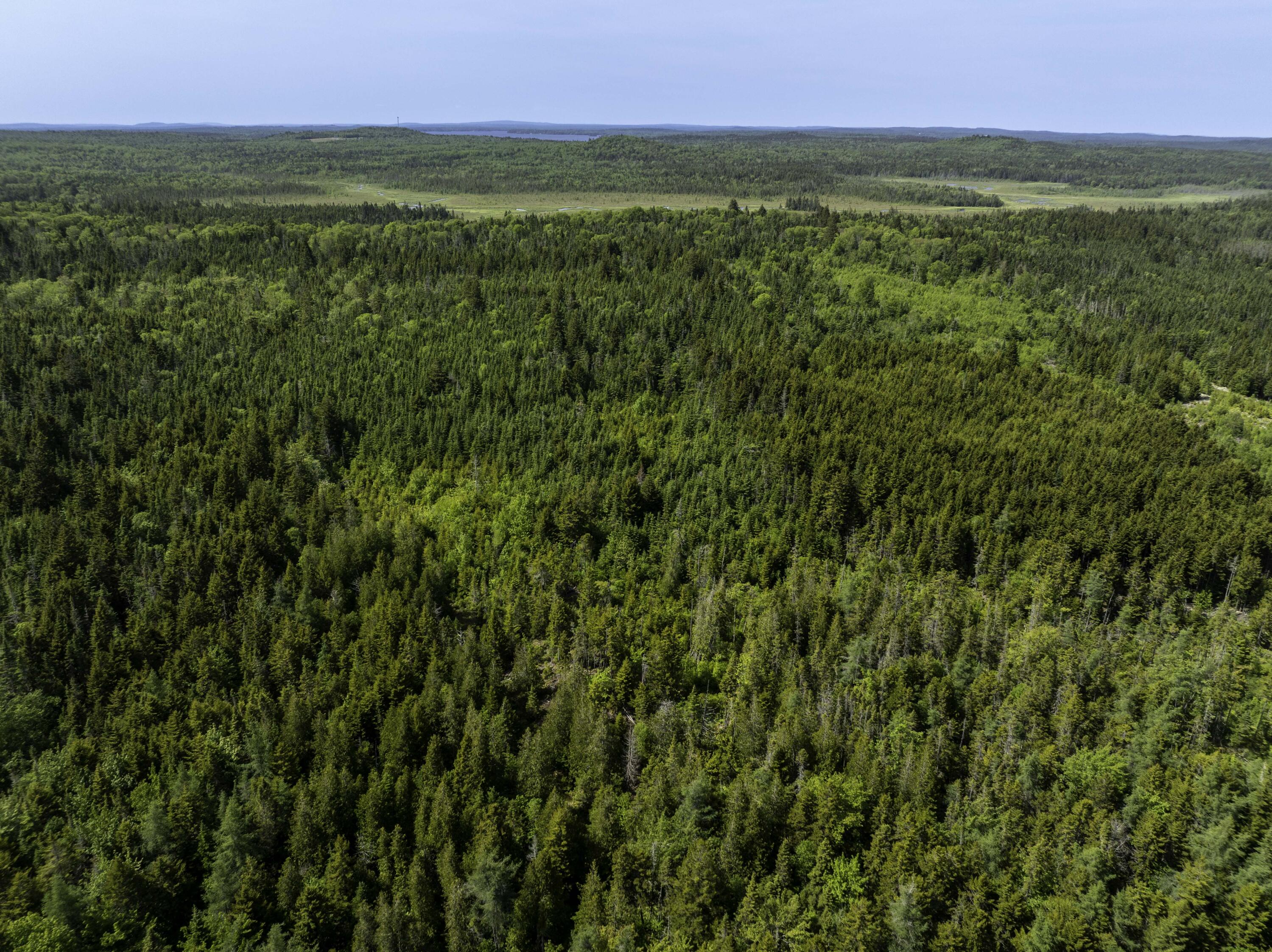 Map 1 Lot 9 Cutler Road Whiting ME 04691