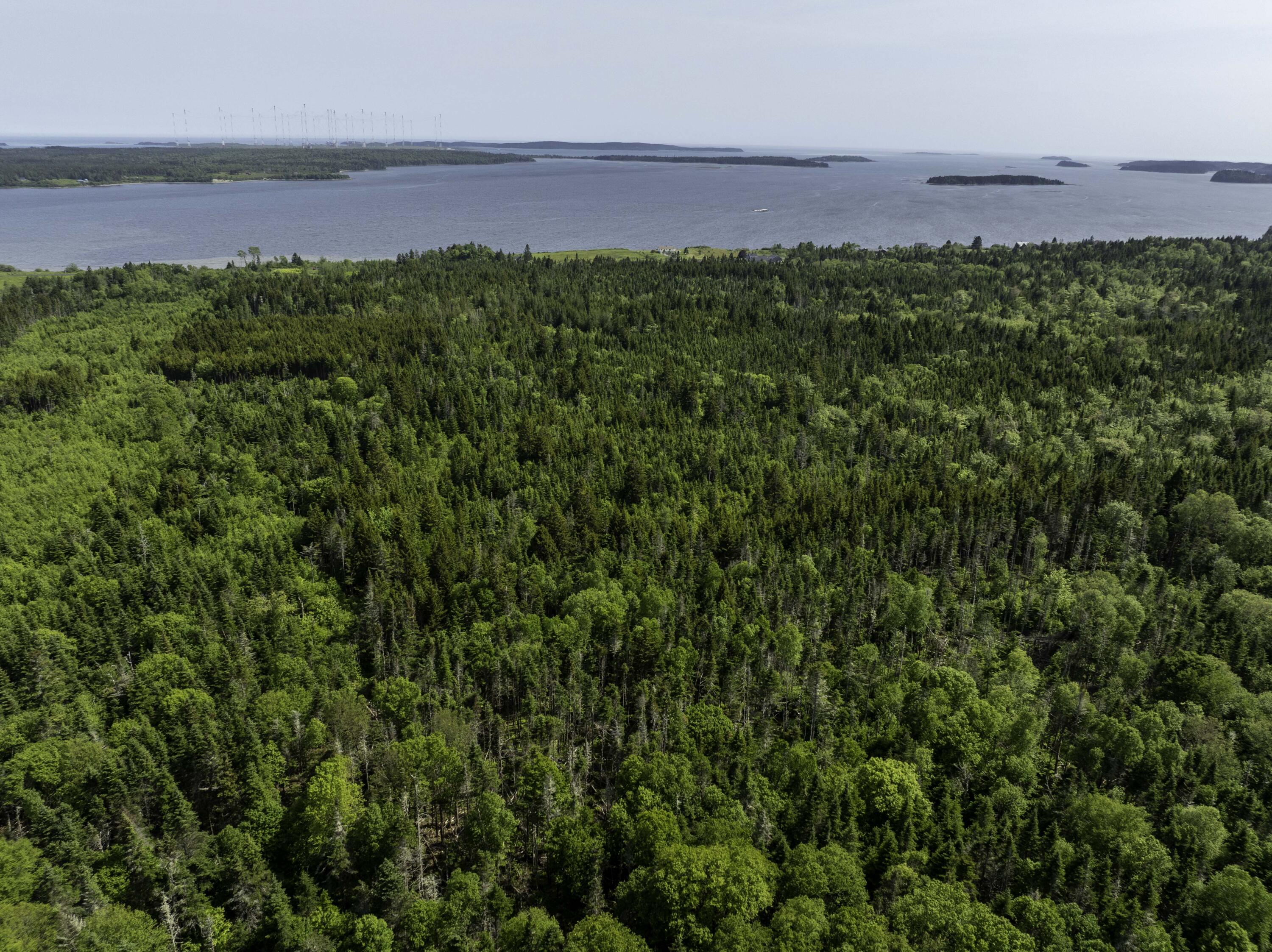 Map 1 Lot 9 Cutler Road Whiting ME 04691