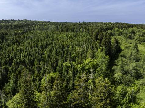 Map 1 Lot 9 Cutler Road Whiting ME 04691