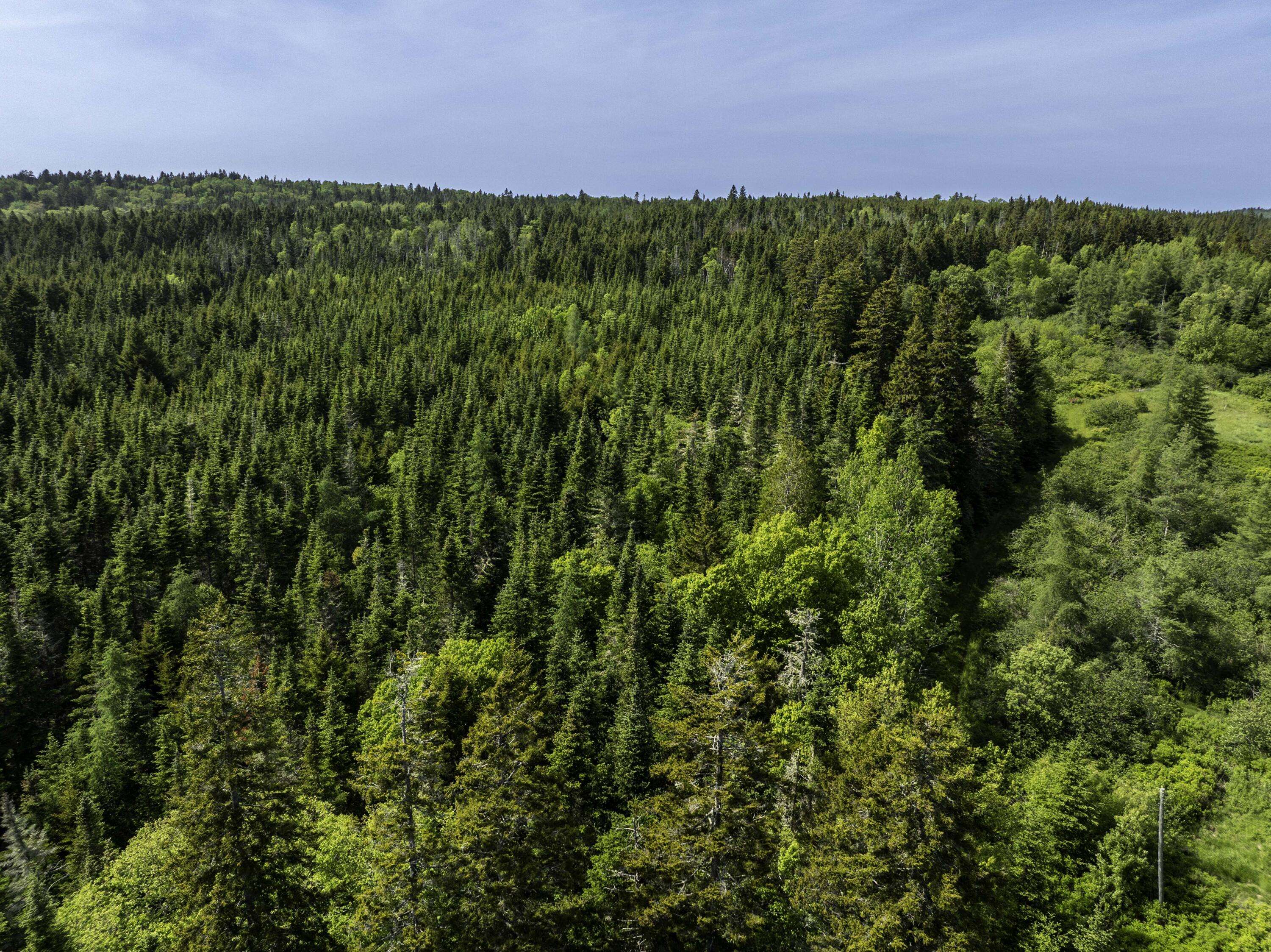 Map 1 Lot 9 Cutler Road Whiting ME 04691