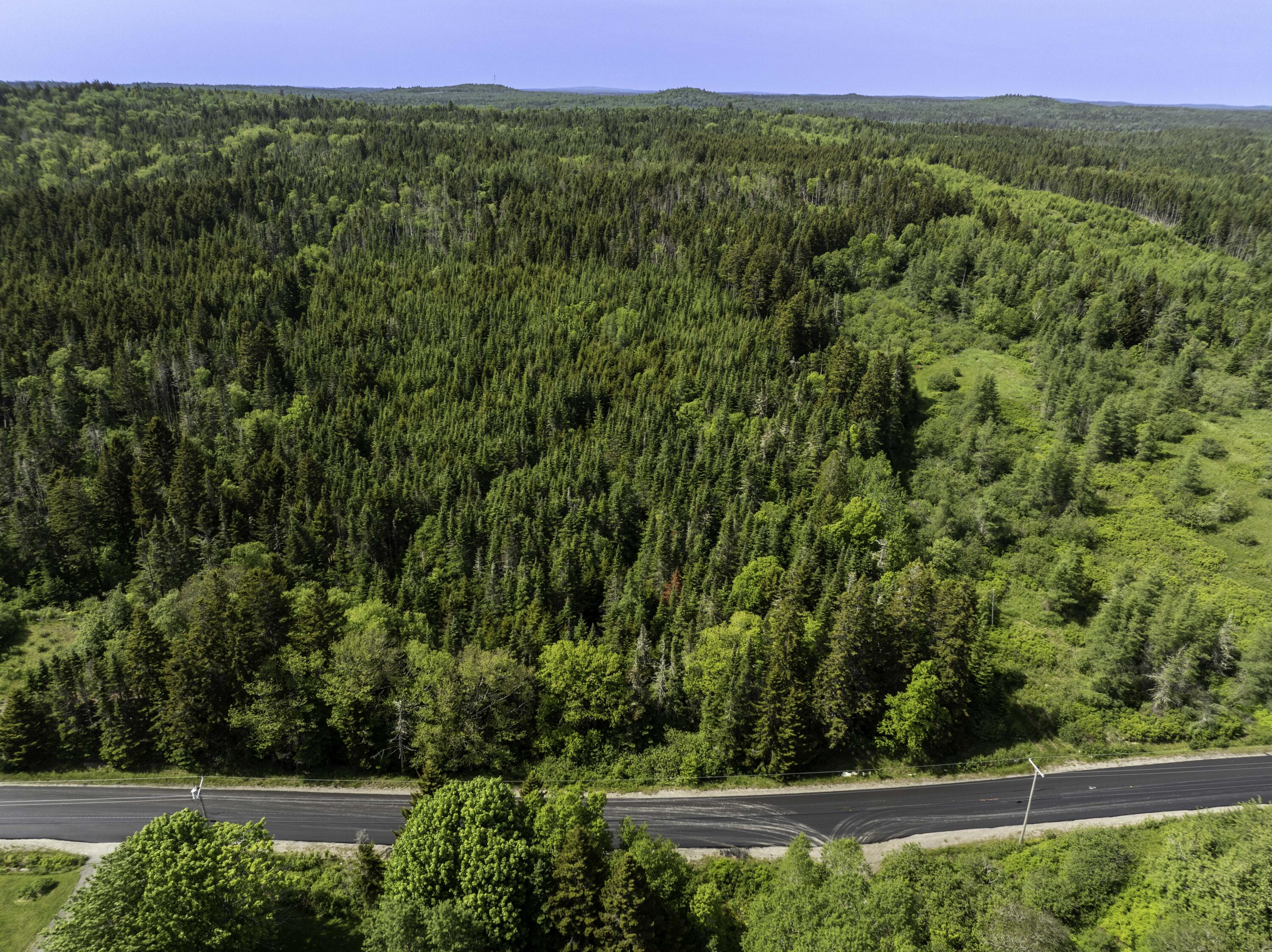Map 1 Lot 9 Cutler Road Whiting ME 04691