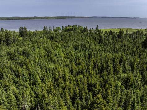 Map 1 Lot 9 Cutler Road Whiting ME 04691