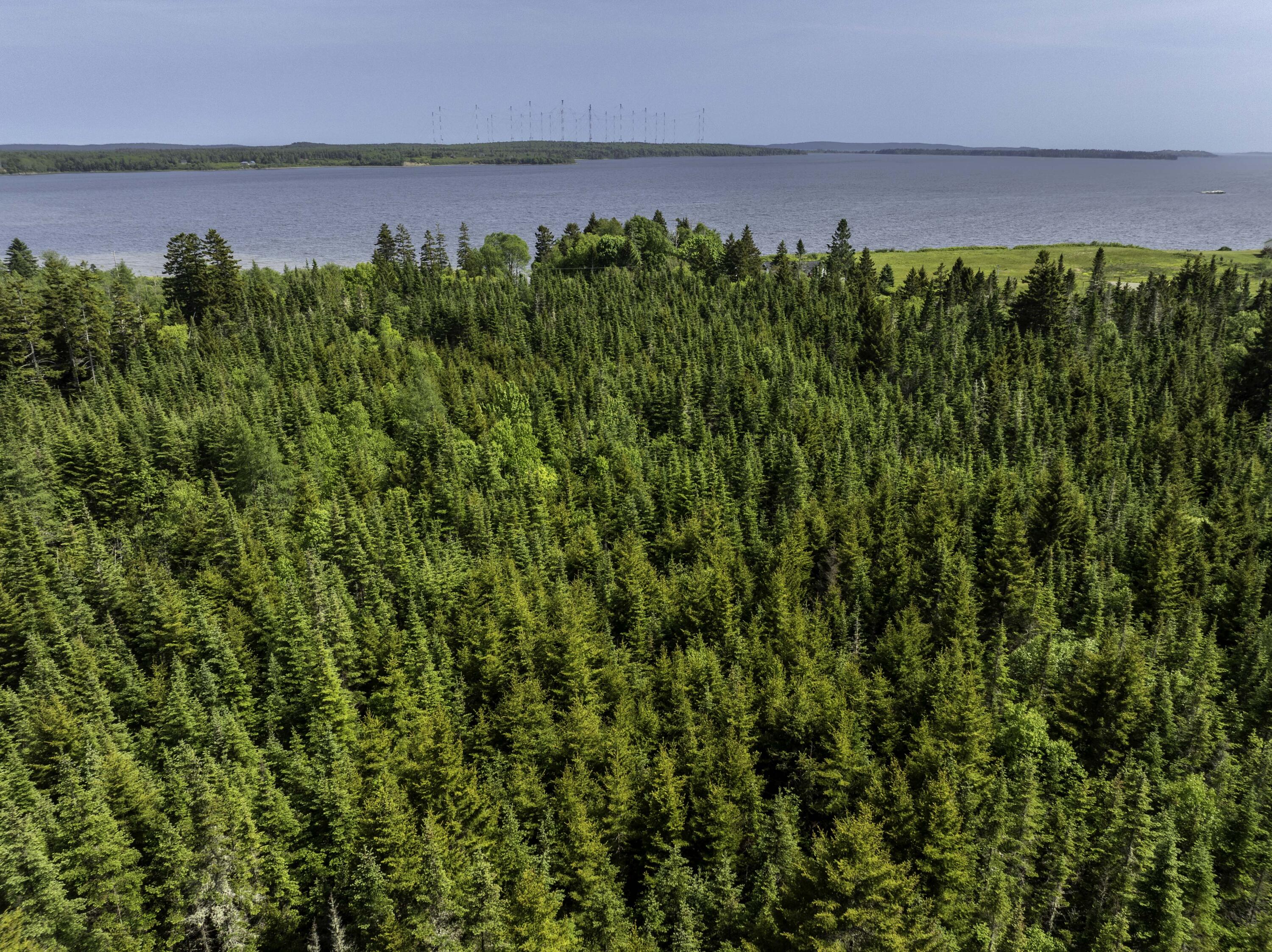 Map 1 Lot 9 Cutler Road Whiting ME 04691