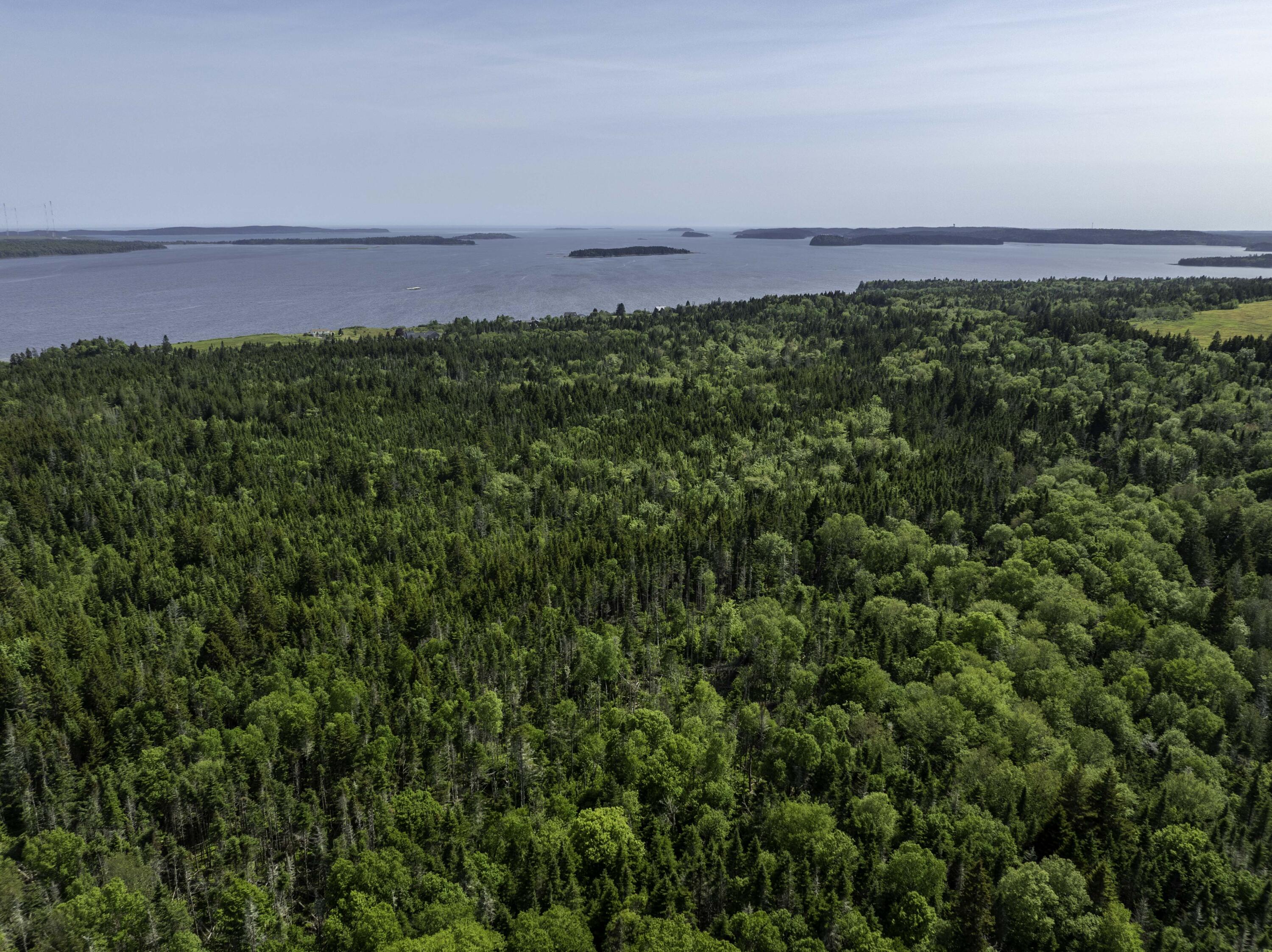 Map 1 Lot 9 Cutler Road Whiting ME 04691
