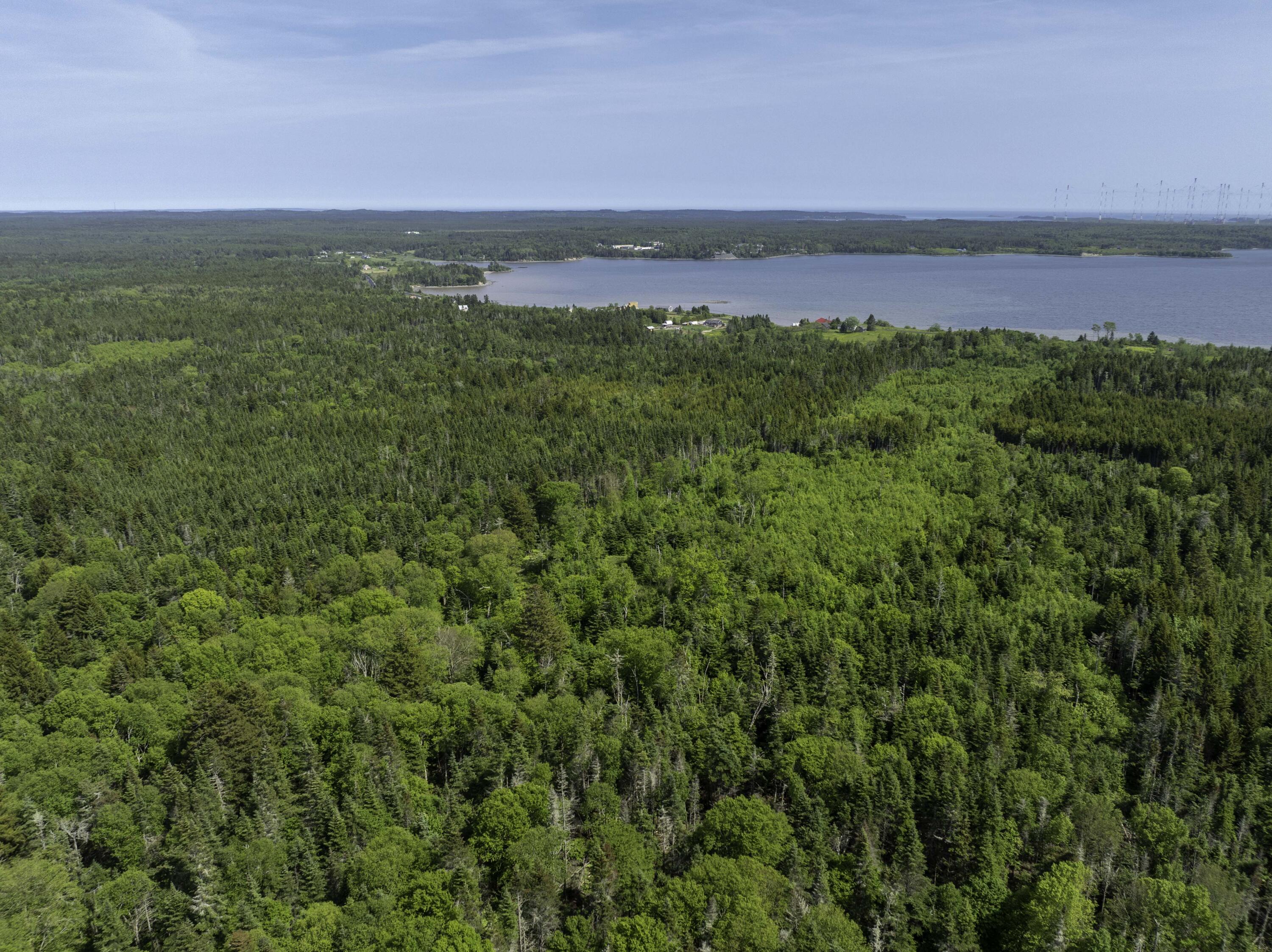 Map 1 Lot 9 Cutler Road Whiting ME 04691