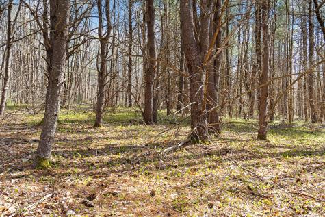Lot 3 Kennebrook Lane Lyman ME 04002