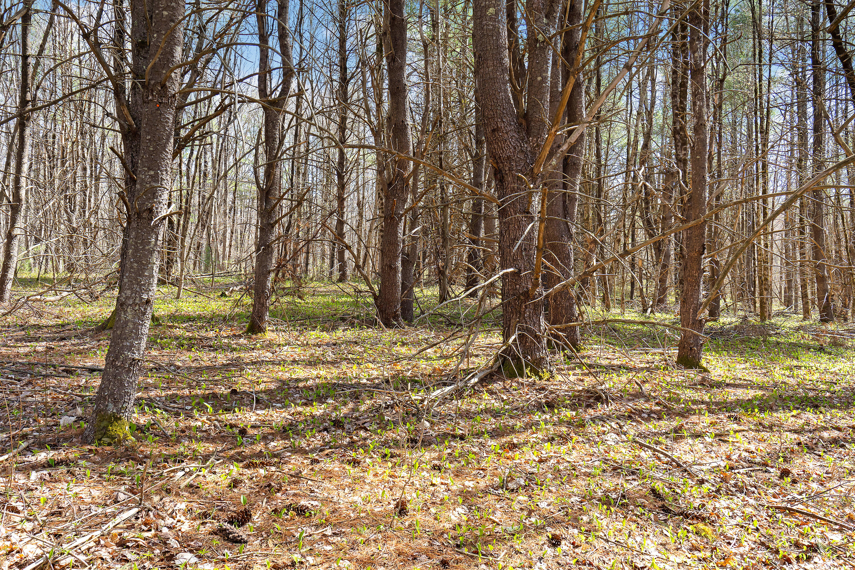 Lot 3 Kennebrook Lane Lyman ME 04002