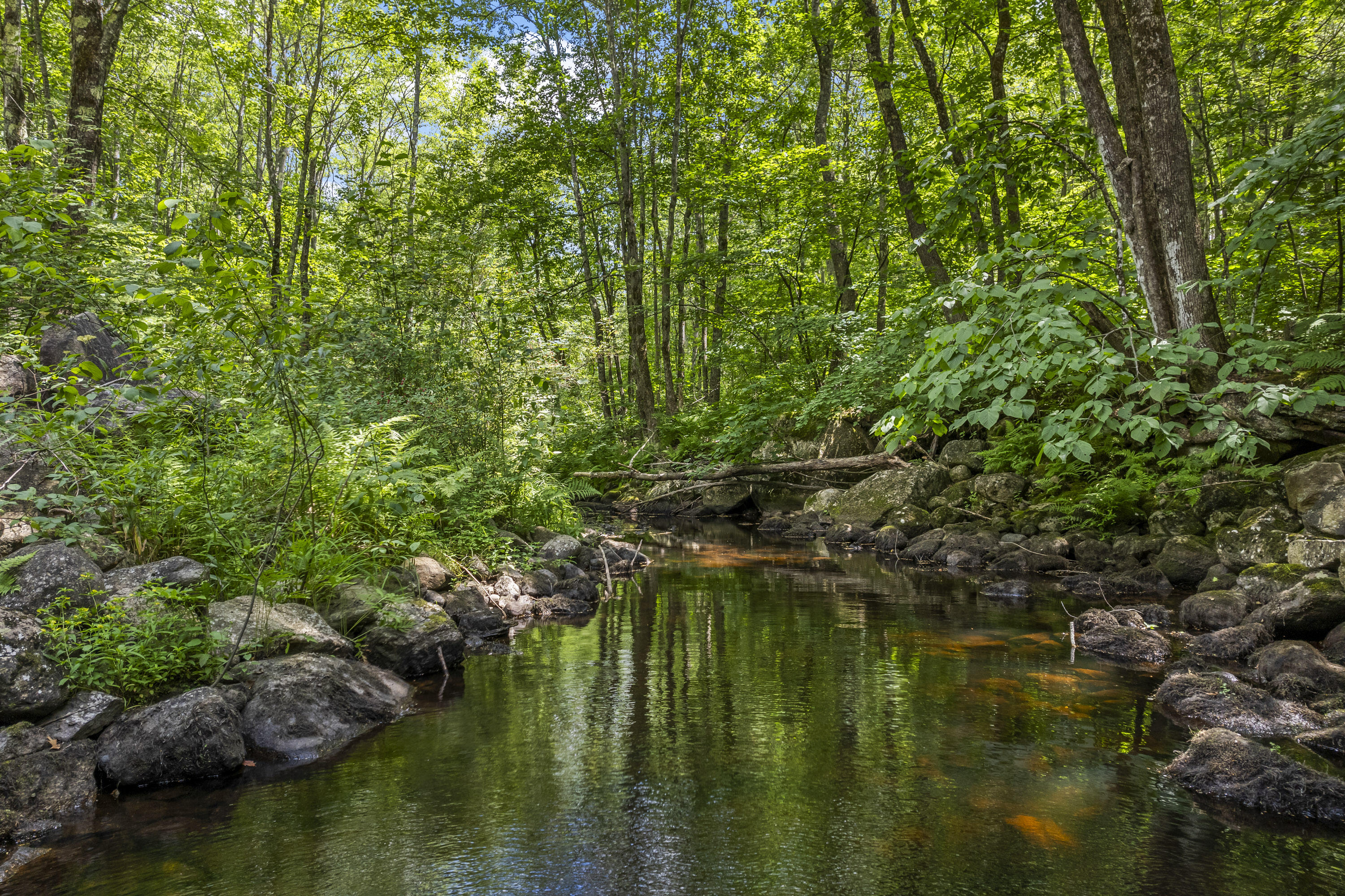 Lot 3 Kennebrook Lane Lyman ME 04002