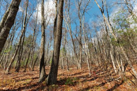 Lot 3 Kennebrook Lane Lyman ME 04002