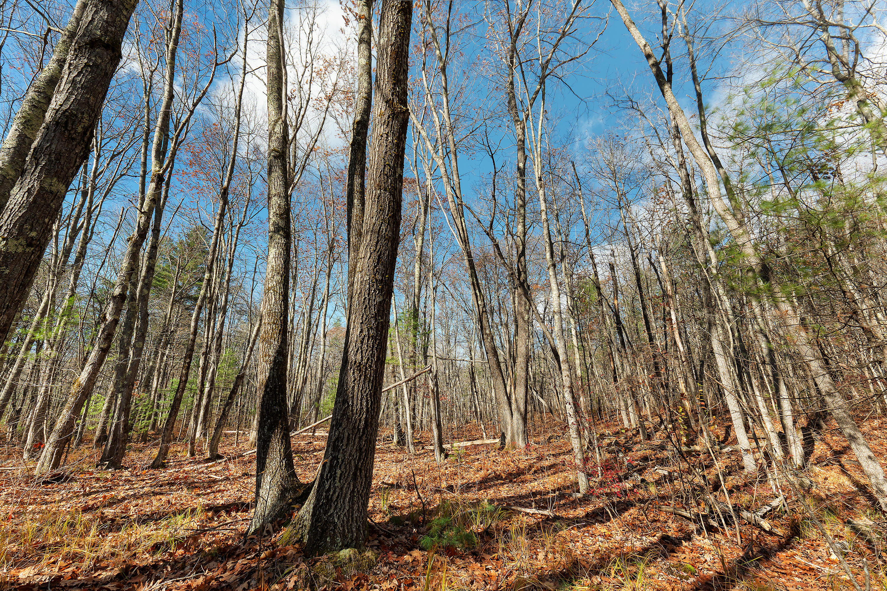 Lot 3 Kennebrook Lane Lyman ME 04002