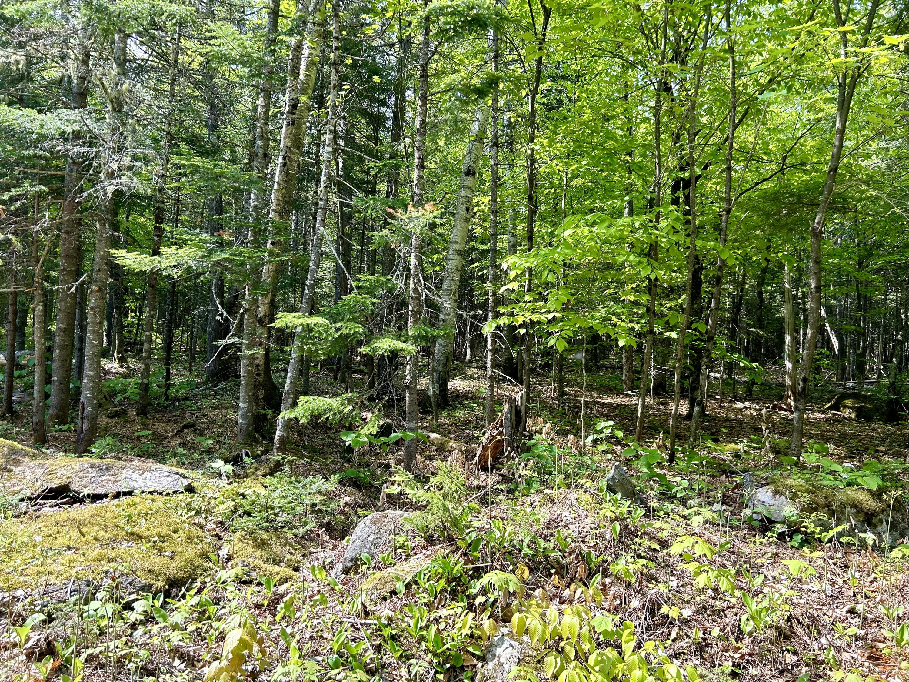 1 B Minister Hill Road Kingfield ME 04947