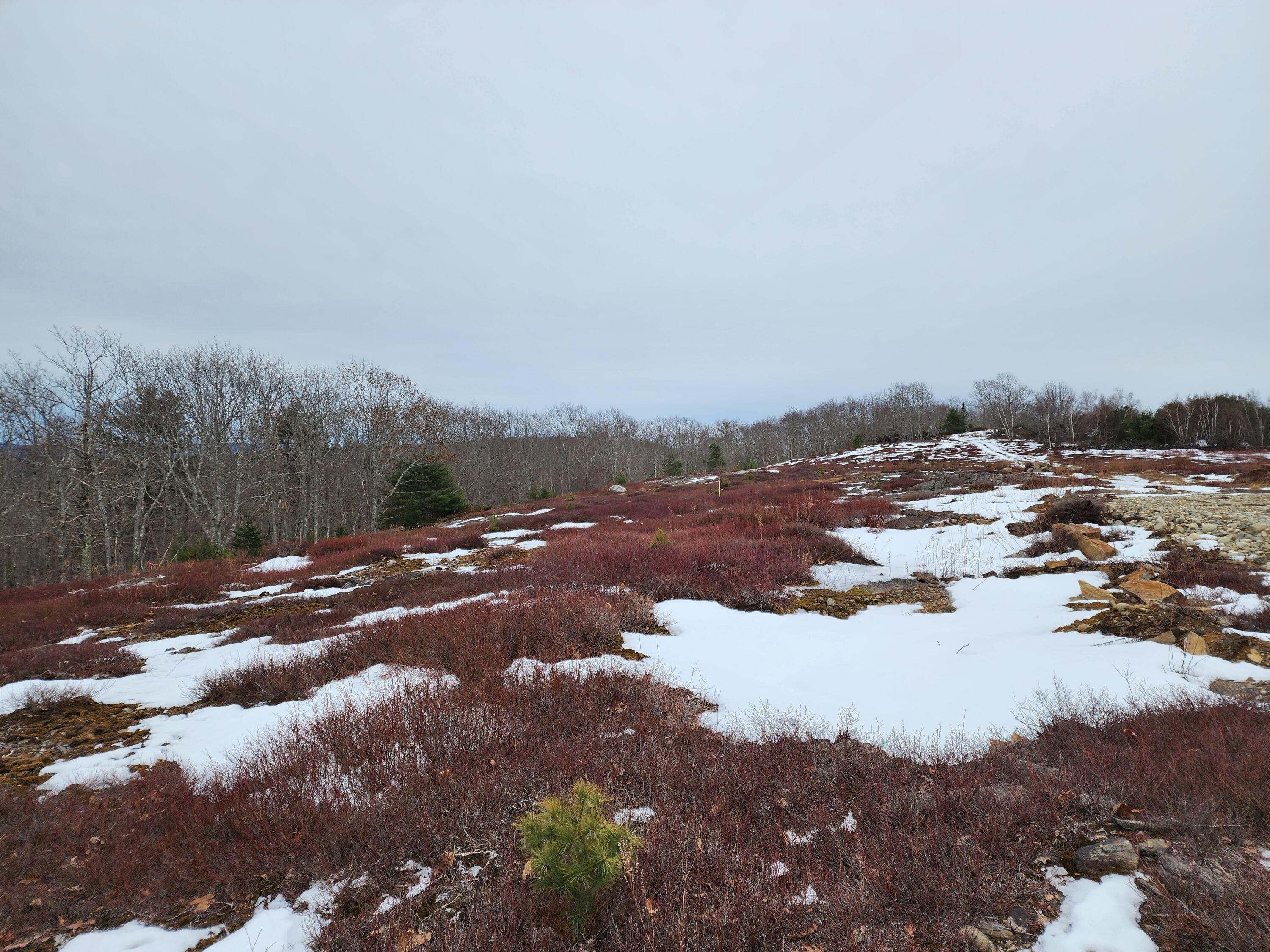 4 Whispering Berries Hill Liberty ME 04949