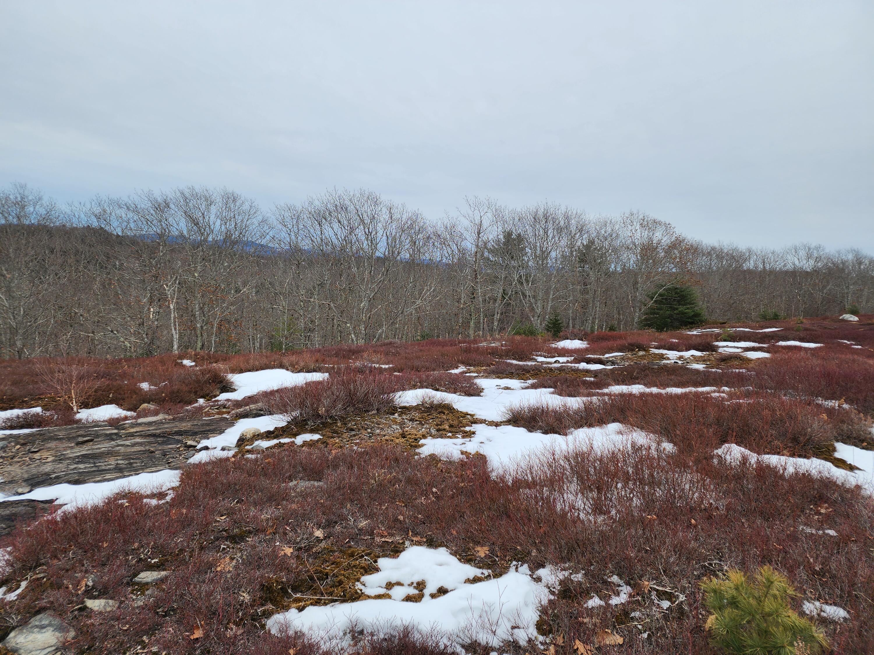 4 Whispering Berries Hill Liberty ME 04949