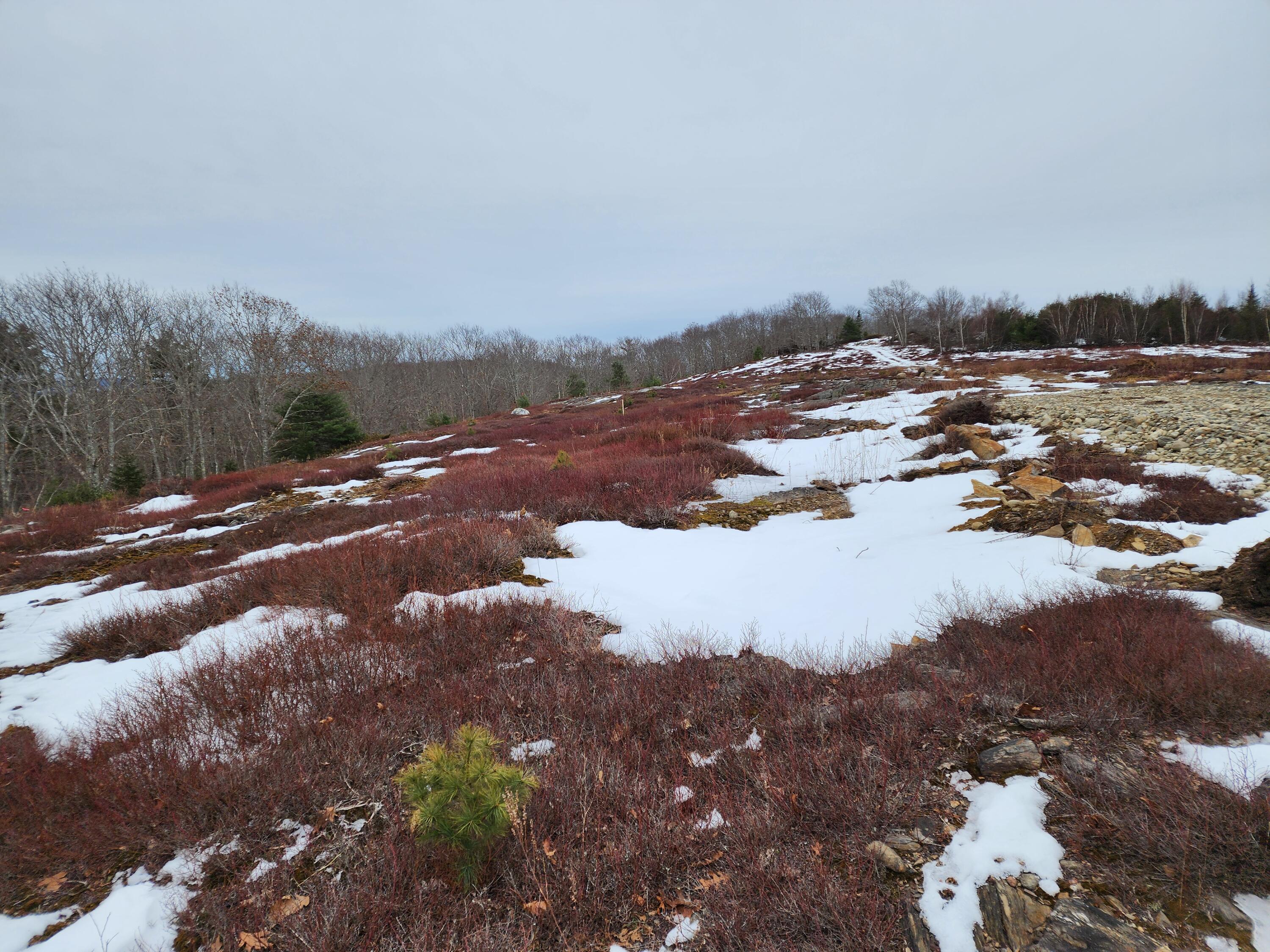4 Whispering Berries Hill Liberty ME 04949