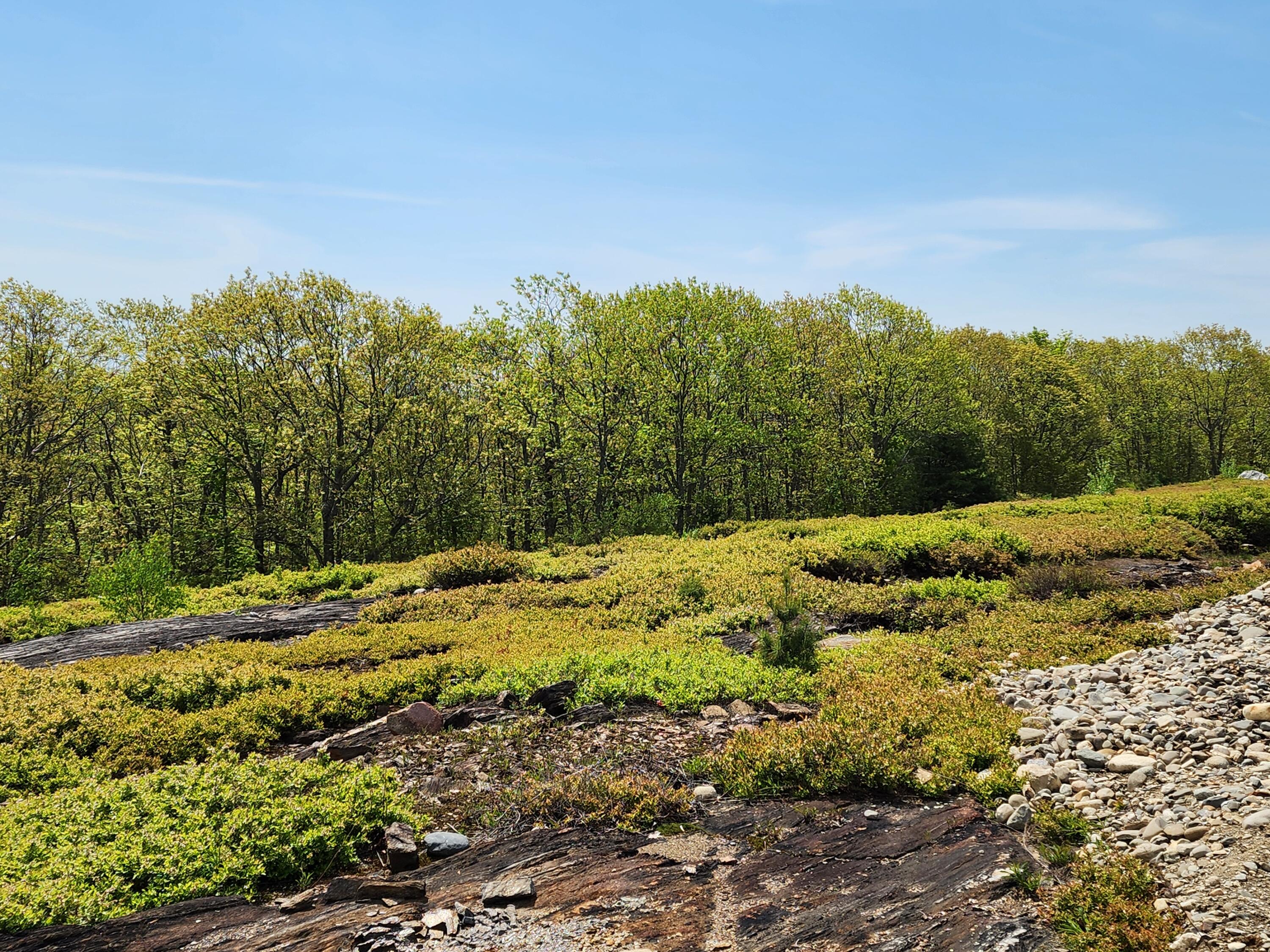 4 Whispering Berries Hill Liberty ME 04949